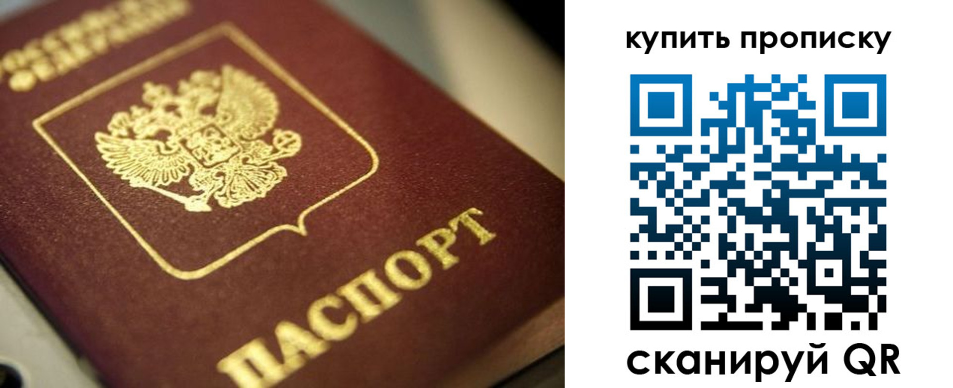 прописка поиск в Сорске